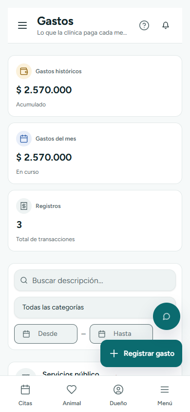 Lista de gastos con resumen del mes, histórico y filtros por categoría (en el teléfono)